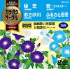 超厳選 カラオケサークルW ベスト4