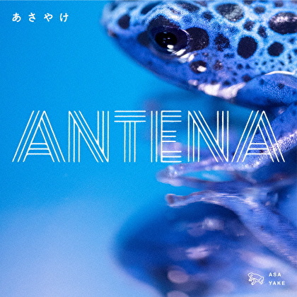 3rd mini Album 「あさやけ」&DVD「ANTENAワンマンライブ ”Liten stad” 渋谷WWW」