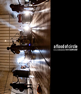 a flood of circle デビュー15周年記念公演“LIVE AT 日比谷野外大音楽堂