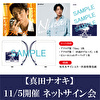 11/5開催 ネットサイン会対象 アナログ盤「Nina」「一匹狼のブルーズ」各1枚 +ビニールバッグ