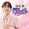 青山新ファーストアルバム ～こころの愛～