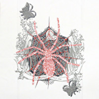 Tシャツ/Spider | 3
