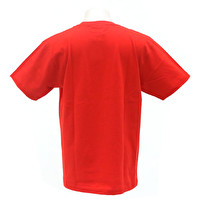 Tシャツ/ROMANTICISM LEMONed 2nd | 2